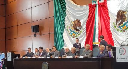 Congreso de México presenta radiografías inéditas de un "ser no humano"