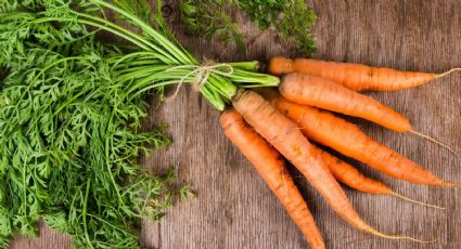 Los mejores trucos para cultivar las zanahorias en macetas