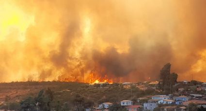 Evacuación en la Región de Valparaíso por incendio forestal: más de 80 hectáreas consumidas