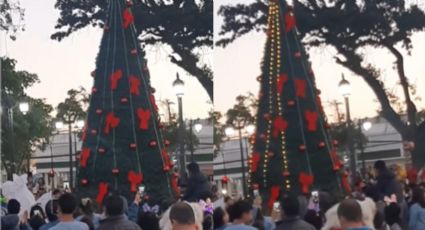 Melipilla se hace viral con el encendido de luces de su árbol de Navidad