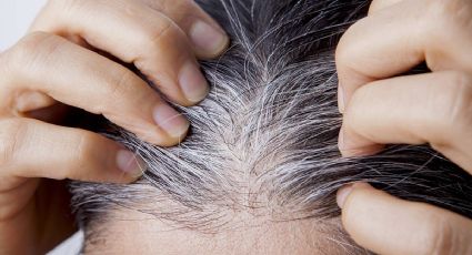 Combate las canas con este increíble método natural que nadie conocía