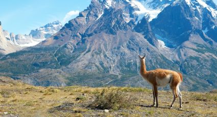 Chile es coronado en los World Travel Awards 2023 como Mejor Destino Verde del Mundo