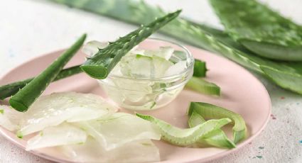 El secreto del aloe vera y sus beneficios para la piel: lo que no sabías