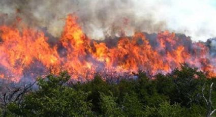 Alerta amarilla por incendio forestal en María Pinto: más de 1.100 hectáreas consumidas