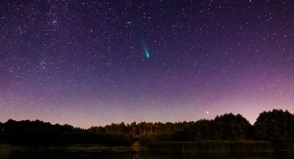 Brillante cometa se acerca a la Tierra y tiene forma de halcón milenario