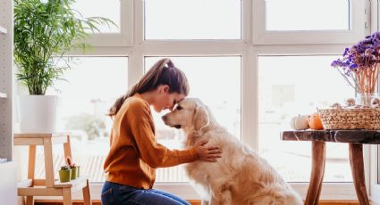 Cómo influyen las mascotas en nuestro bienestar emocional