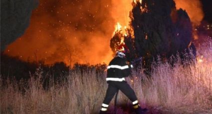 Ola de calor e incendios en el Mediterráneo: alerta en Italia, Grecia y Argelia