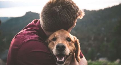 Mascotas: Los alimentos que son peligrosos para los perros