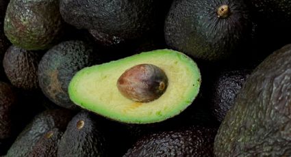 Este 31 de julio se celebra el Día Internacional de la Palta