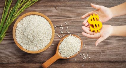 Descubre el ritual del arroz para atraer dinero y prosperidad