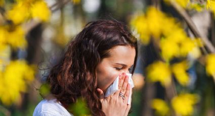 7 claves para evitar las alergias de primavera