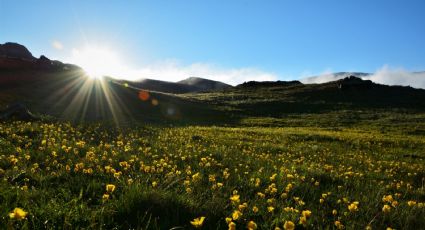 Los tres destinos más alucinantes de Chile para visitar en primavera