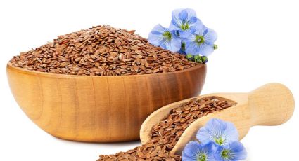 8 increíbles beneficios de incorporar semillas de lino a la dieta