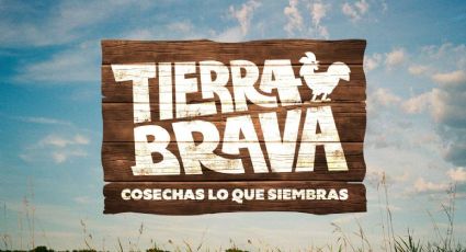 ¿Surge el amor?: el romance se hace presente en "Tierra Brava"