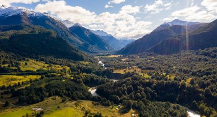 3 maravillosos bosques de Chile que nadie puede perderse