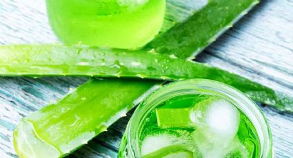 7 beneficios del aloe vera que no conocías