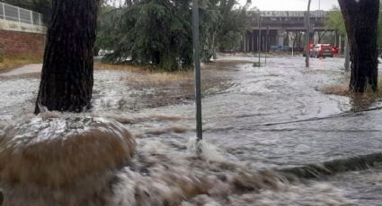 Torrenciales lluvias: las impactantes imágenes de las inundaciones en Madrid