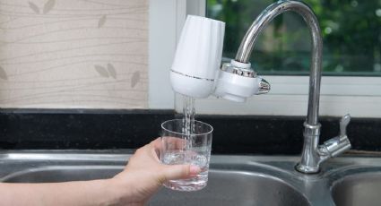 Purificadores de agua: qué tan importante es tener uno en casa y cuál es su función especial