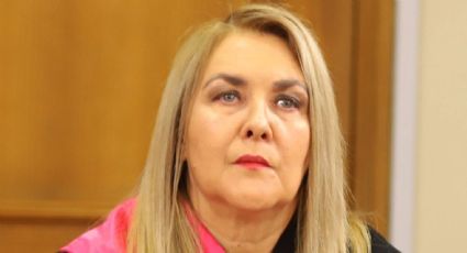 Pamela Jiles recibe las críticas por una sorpresiva decisión en su cargo