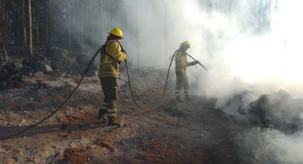 ¡Alerta Roja! Senapred declara la emergencia en Pudahuel por incendios forestales