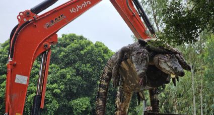 Las lluvias rompieron un muro que contenía a cientos de cocodrilos en Tailandia