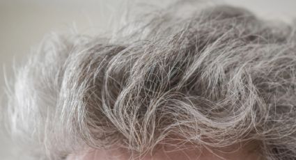 Productos naturales para prevenir las canas: soluciones que agradecerás
