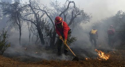 Comuna de Quilpúe recibe millonaria donación de ONG internacional