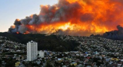 Incendios forestales en Viña del Mar: alarmante aumento en las cifras de víctimas fatales