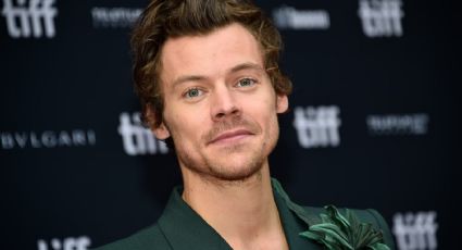 A prisión: fanática de Harry Styles condenada por las 8 mil cartas enviadas al cantante