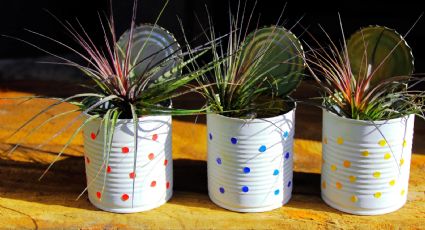 Crea estas macetas con cualquier latas de conserva: una solución para tus plantas