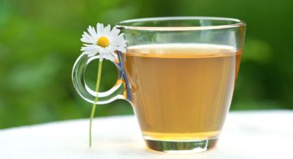 Conoce los grandes beneficios de consumir té de manzanilla con semillas de chía