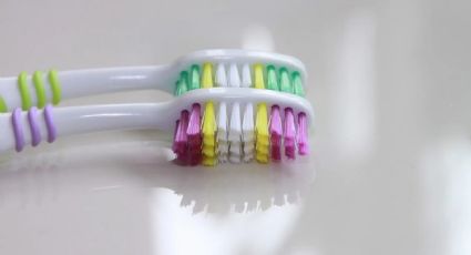 El buen tip para cuidar tus cepillos de dientes durante un viaje