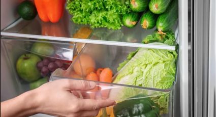 Así se deben guardar las verduras para durar el mayor tiempo posible