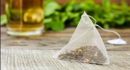 Cómo ocupar las bolsas de té usadas para abonar los árboles de tu jardín