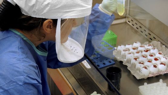 Encuentran restos del virus de la gripe aviar en leche de Estados Unidos