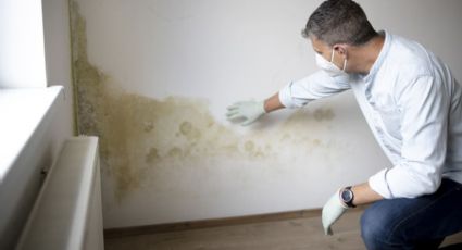 Evite volver a pintar la pared con estos remedios caseros