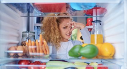 ¿Tu heladera tiene malos olores? Este sencillo truco solucionará tu vida