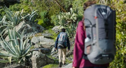 Elementos indispensables para llevar a la hora de hacer trekking