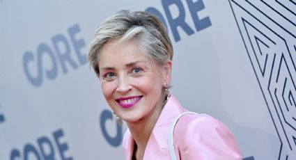 Sharon Stone no se guarda nada a la hora de hablar de su salud mental