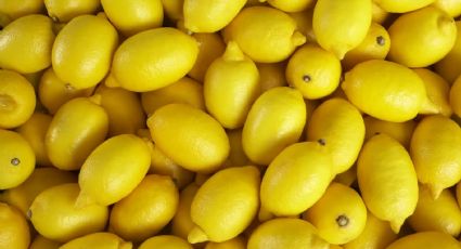 El tip que te ayudará a conservar los limones frescos por más tiempo