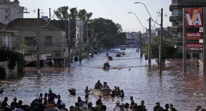 Drama en Brasil: pirañas en las calles de Porto Alegre por las devastadoras inundaciones