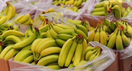 Así cambian los nutrientes de las bananas durante su proceso de maduración