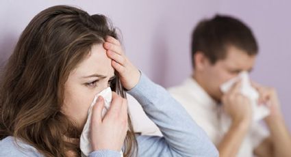 ¡No gastes en medicamentos! Previene el resfrío con esta planta que puedes tenerla en tu jardín