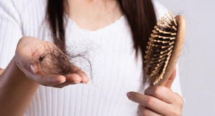 Las soluciones caseras y naturales para evitar la caída del cabello sin gastar dinero