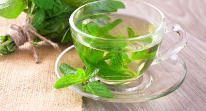 Cómo preparar té de menta para bajar la fiebre y quitar la congestión