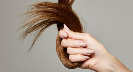 No gastes en keratina ni en alisado: 3 productos ideales para dejar tu cabello fuerte y sano