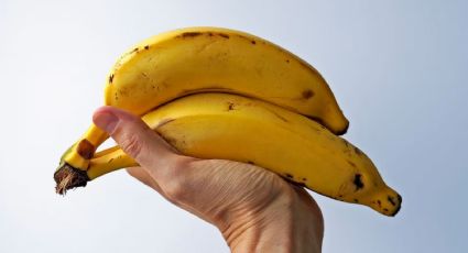 El sencillo truco con el que conservarás las bananas por más tiempo