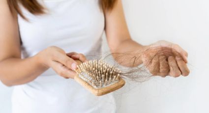 Caída del cabello: esta es la planta ideal con la que podrás combatir este problema