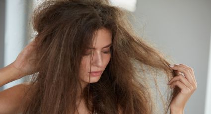 Cuidado del cabello: 3 remedios caseros que ayudarán a desenredar tu pelo sin dañarlo
