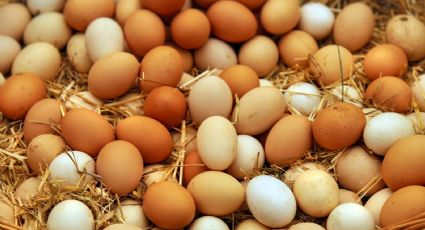 Simples trucos para saber si un huevo es apto para el consumo